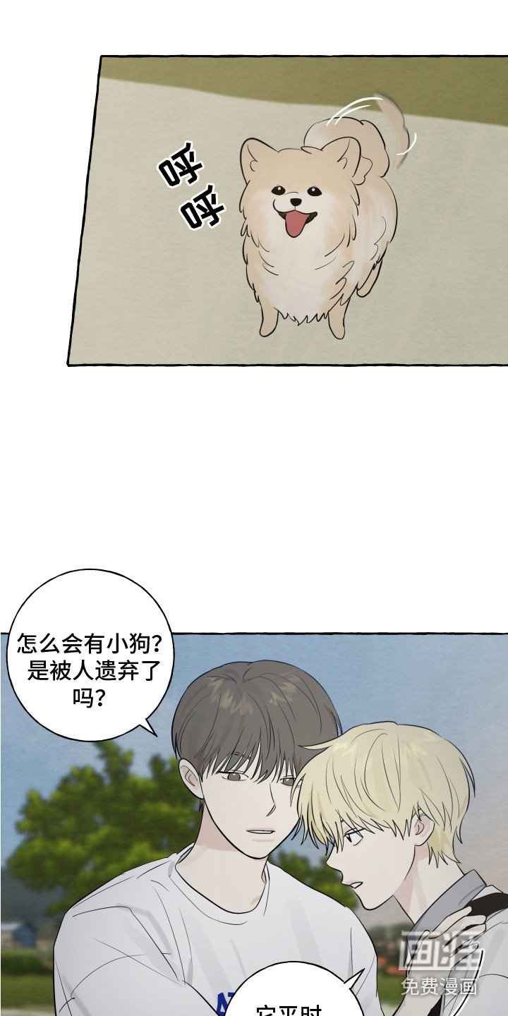 第8章：小狗