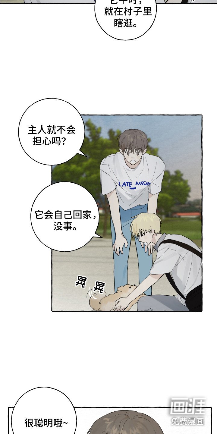 第8章：小狗