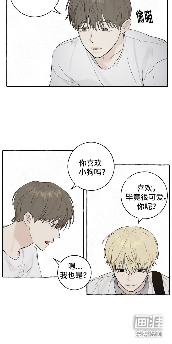 第8章：小狗