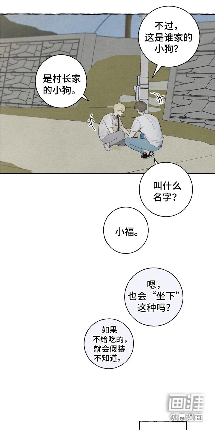第8章：小狗