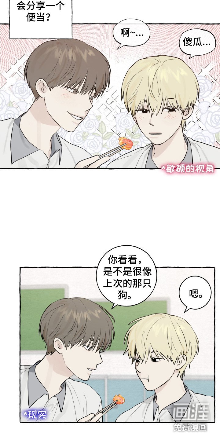 第8章：小狗