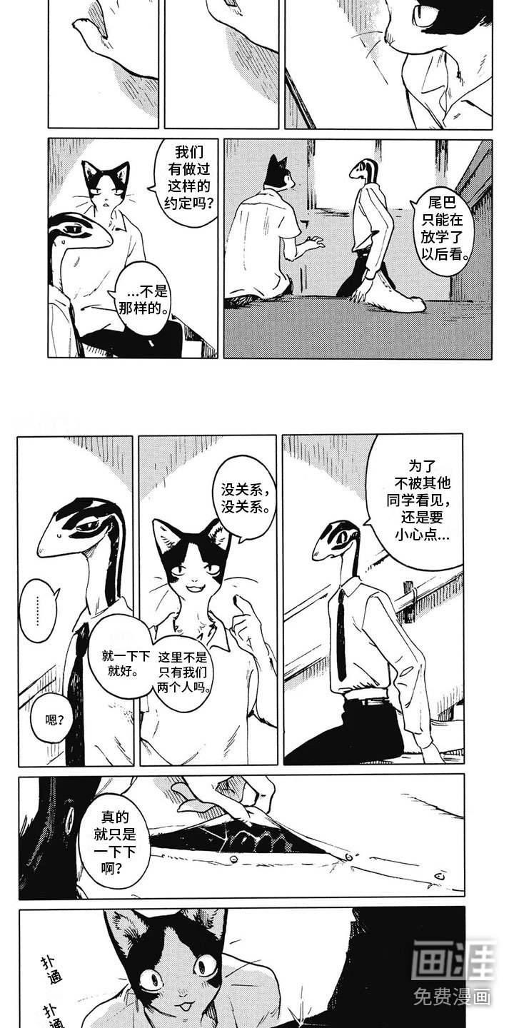 第11章：拒绝