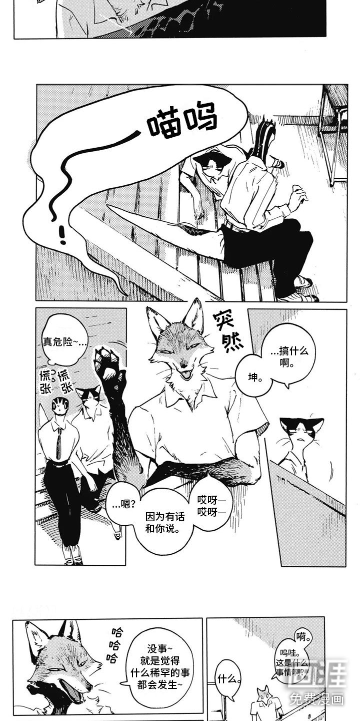 第11章：拒绝