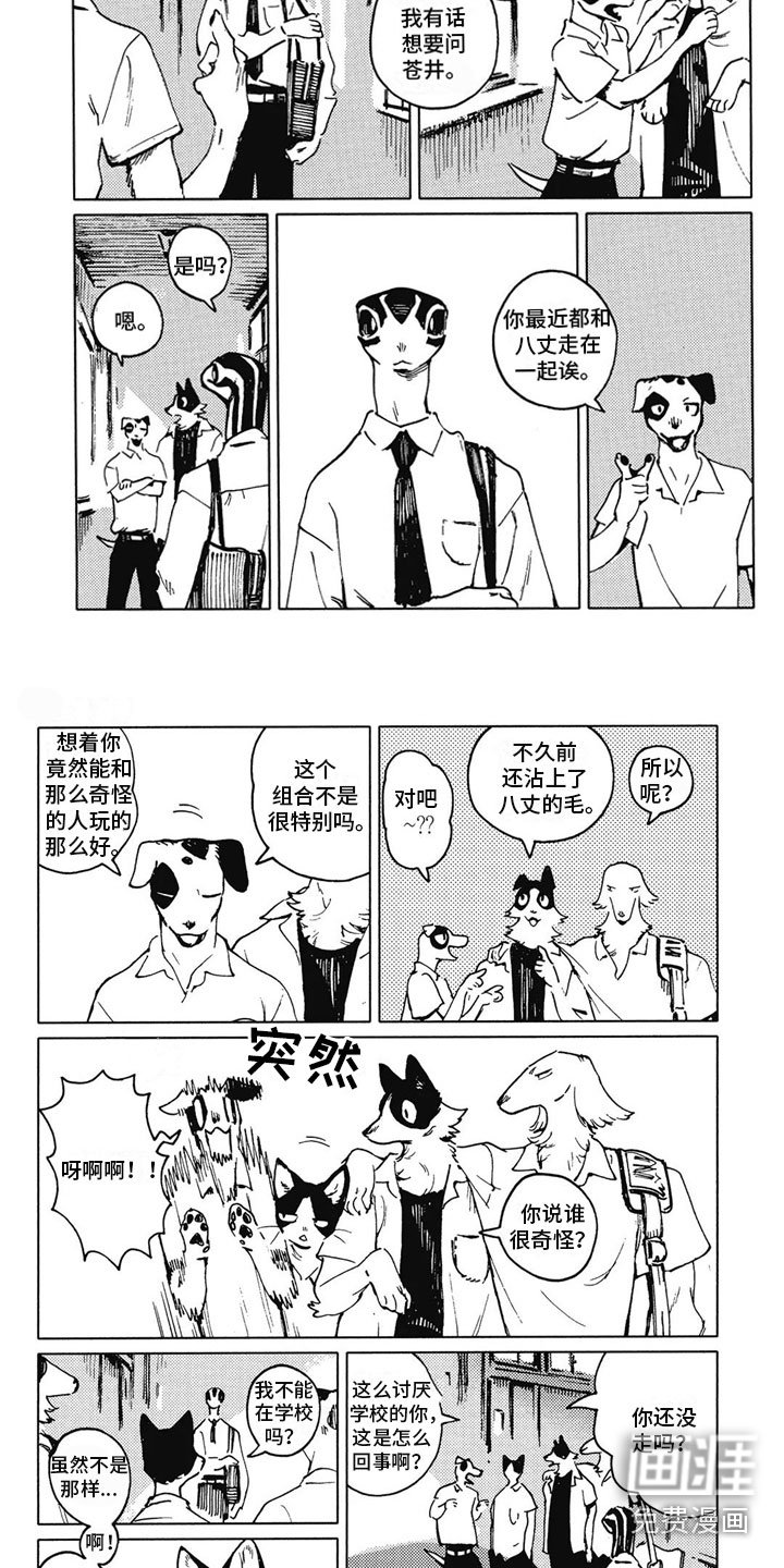 第14章：好奇