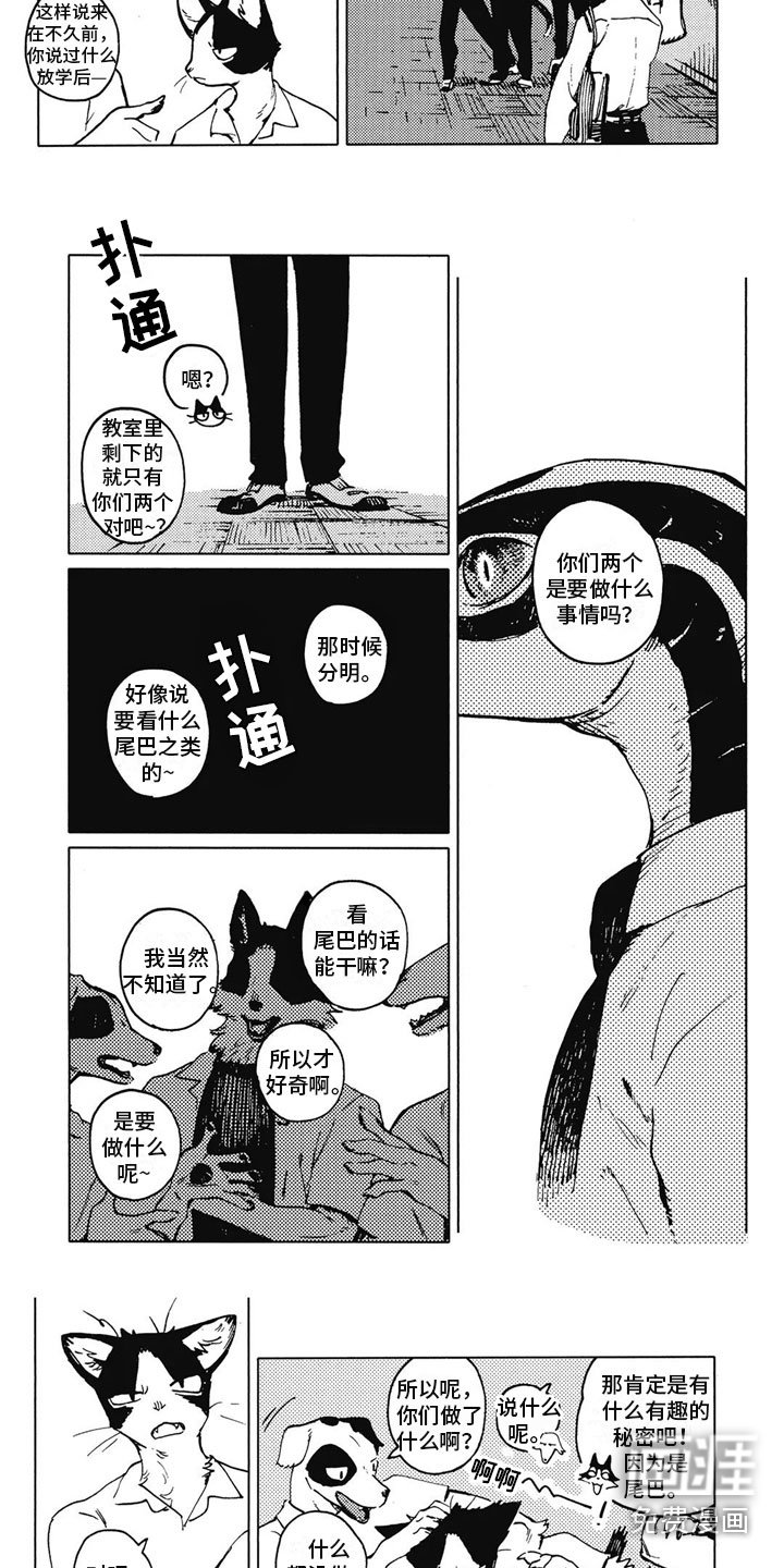 第14章：好奇
