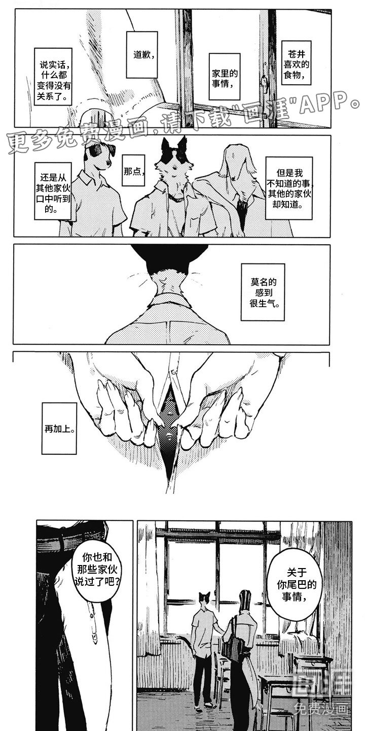 第21章：停下来