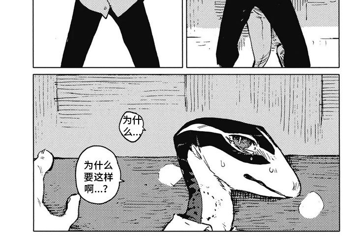 第21章：停下来
