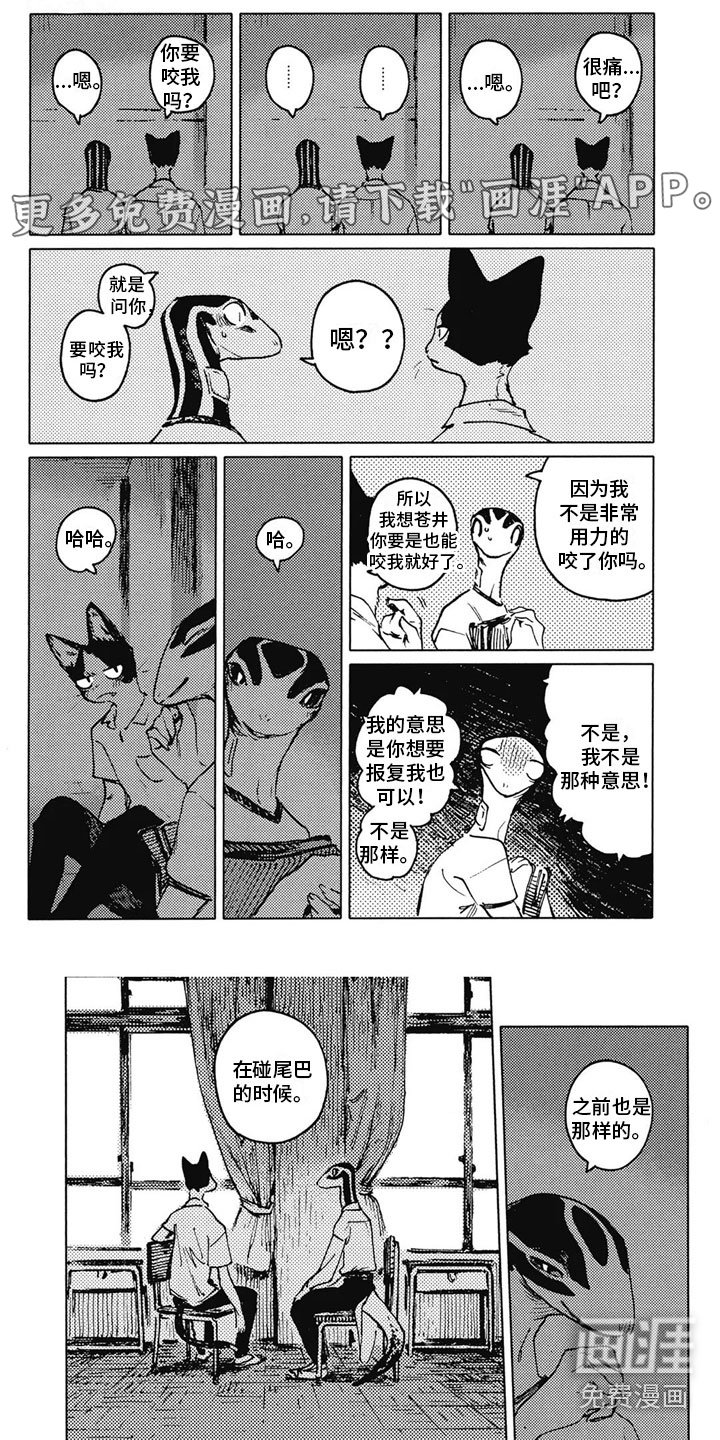 第27章：解释