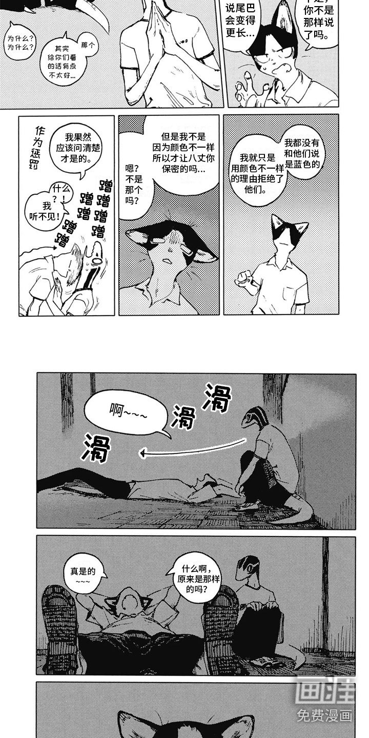第27章：解释
