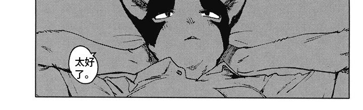 第27章：解释