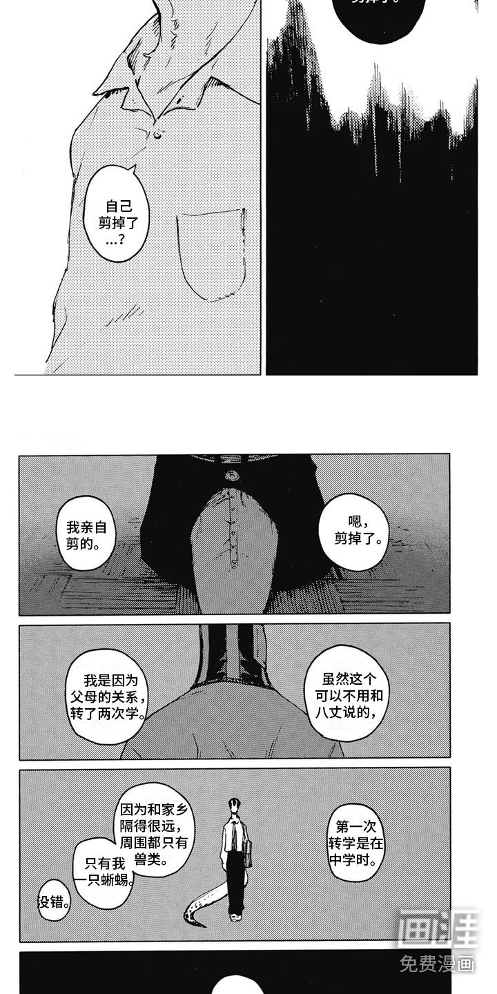 第28章：诉说往事