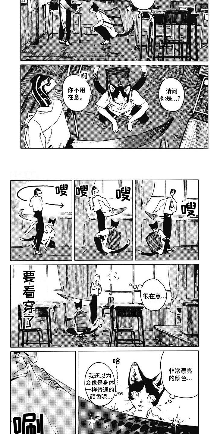 第3章：饶有兴趣
