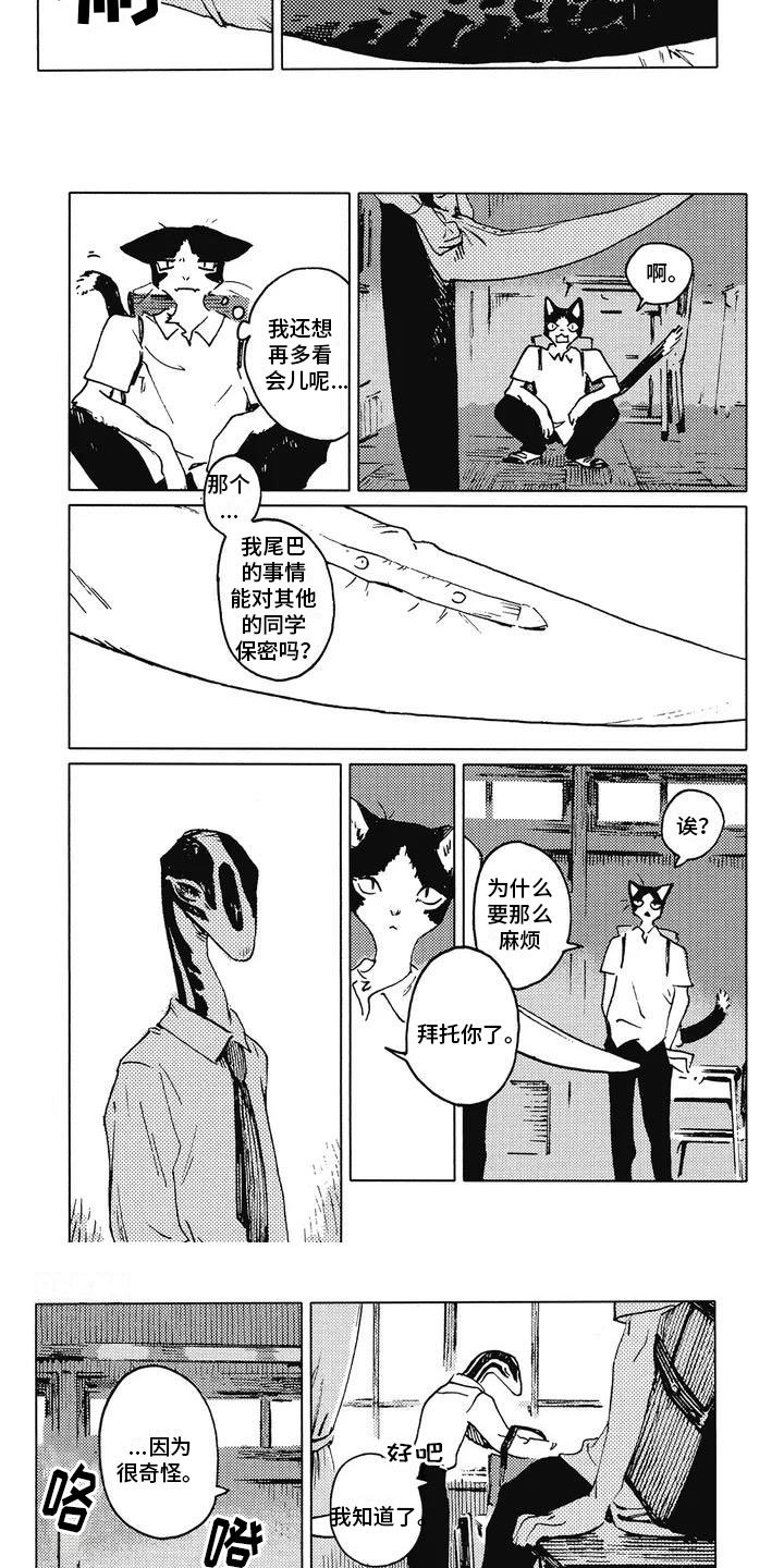 第3章：饶有兴趣