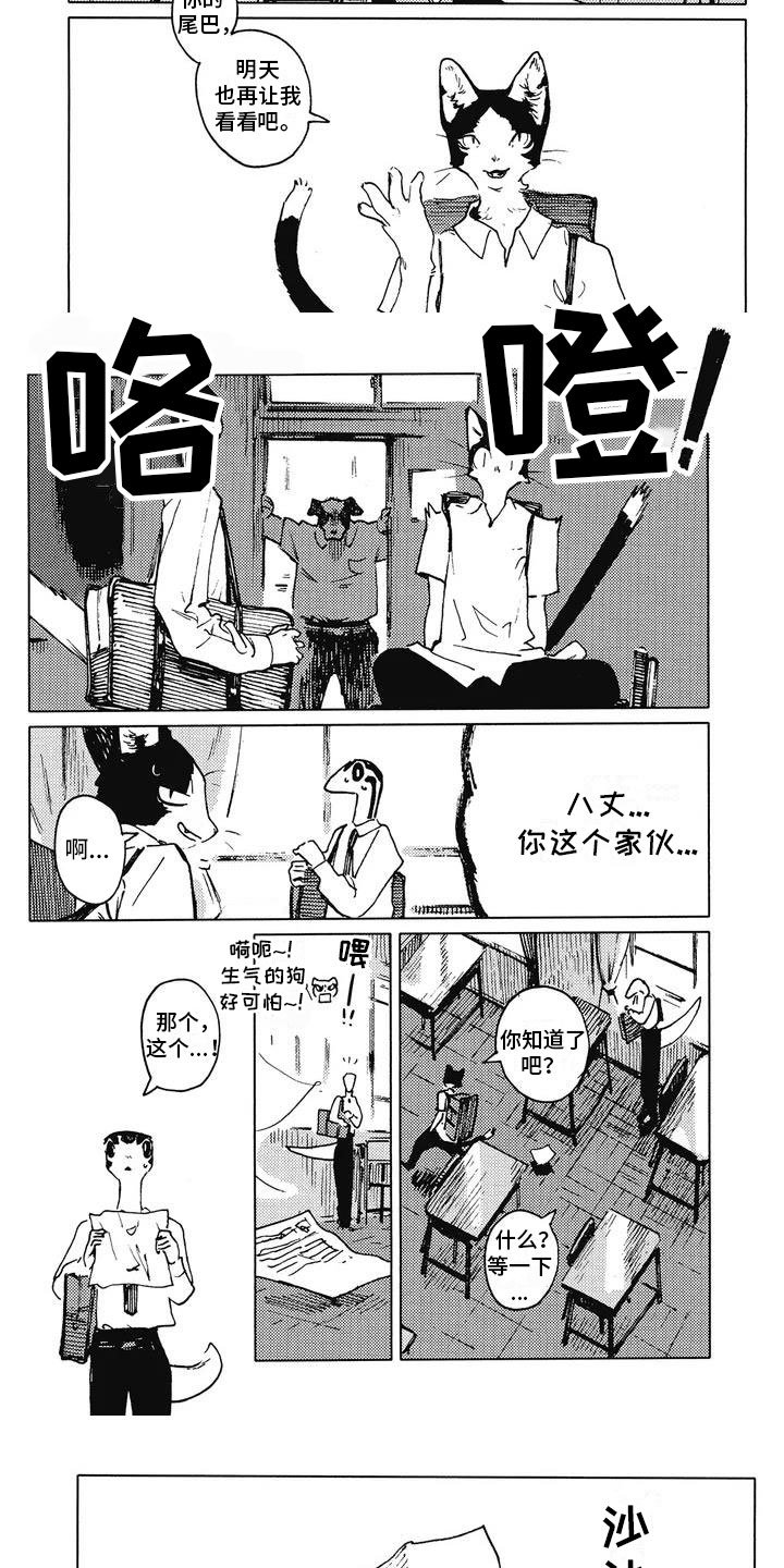 第3章：饶有兴趣