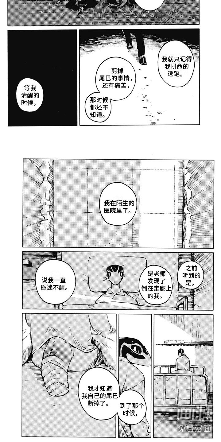 第30章：断尾