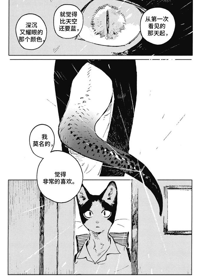 第31章：温暖