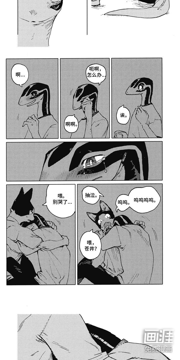第32章：因为是你