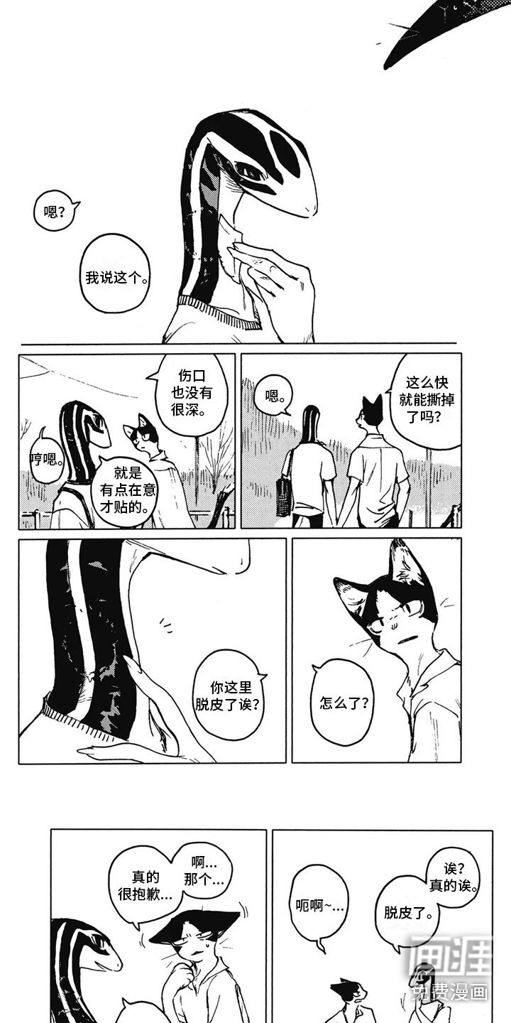 第33章：温暖（完结）