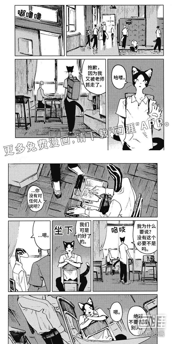 第5章：摸尾巴