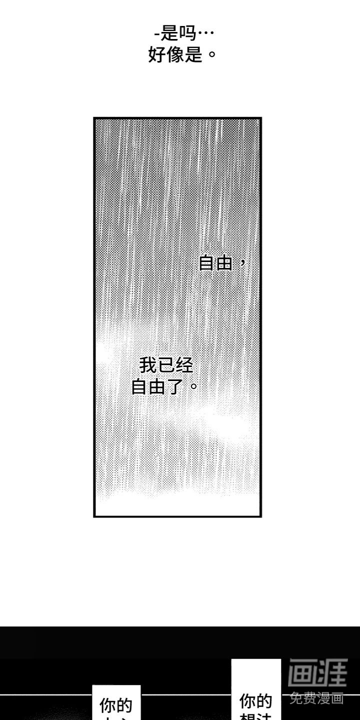第17章：内心想法
