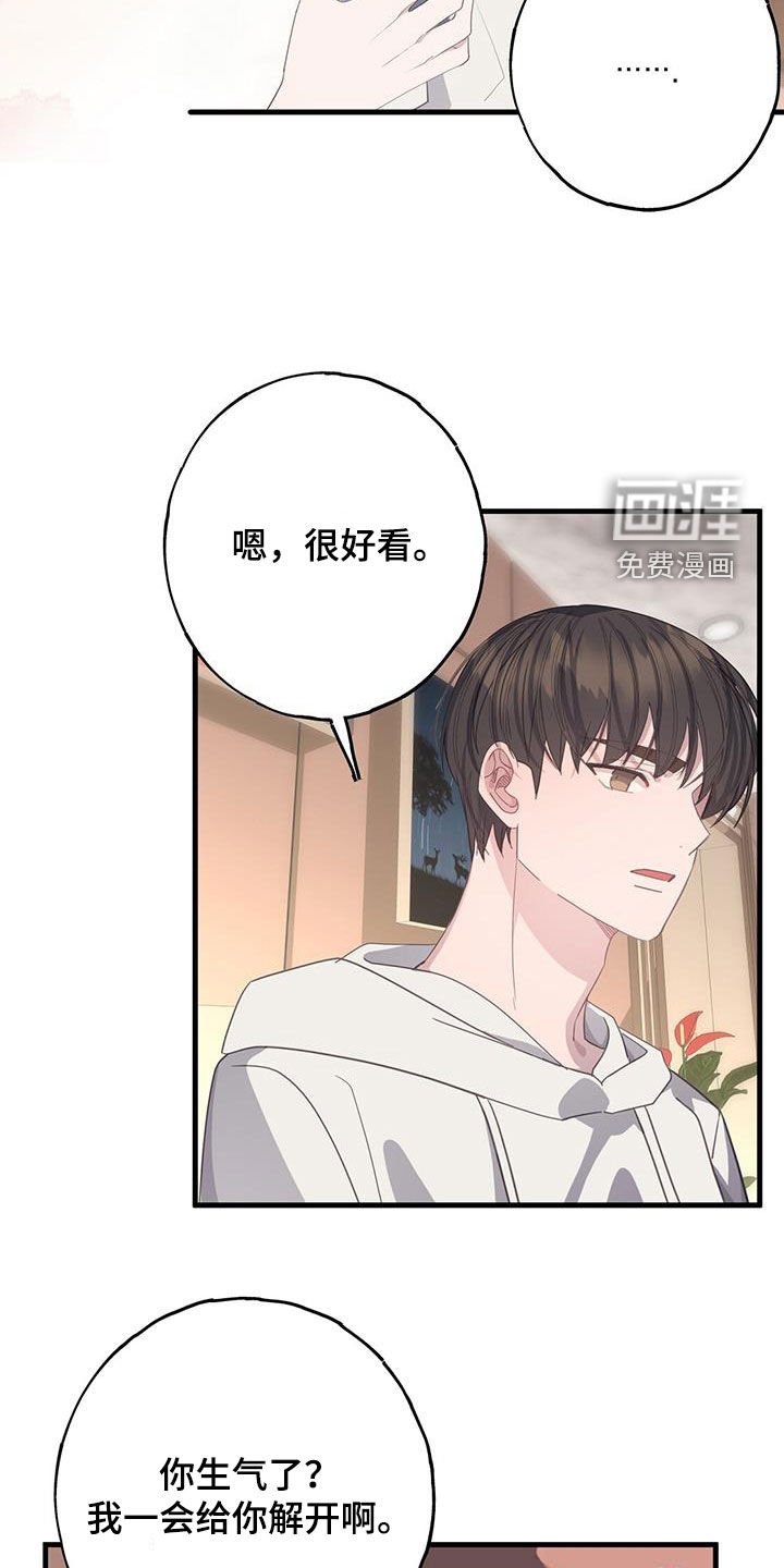 第102章：随心所欲