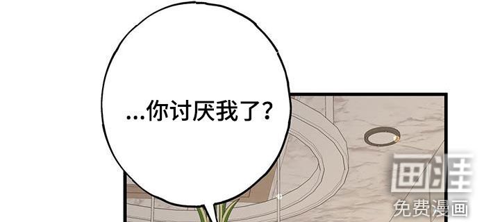 第104章：停下了