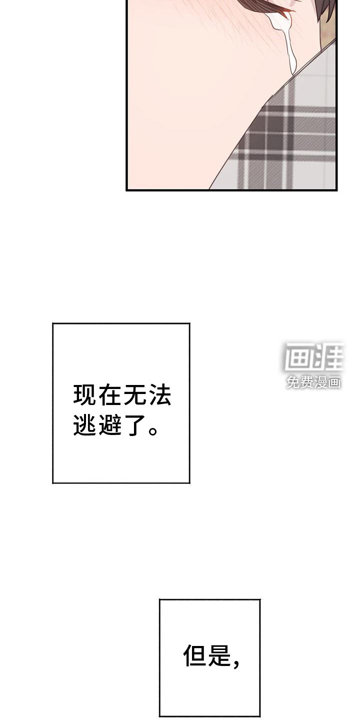 第116章：真正的故事