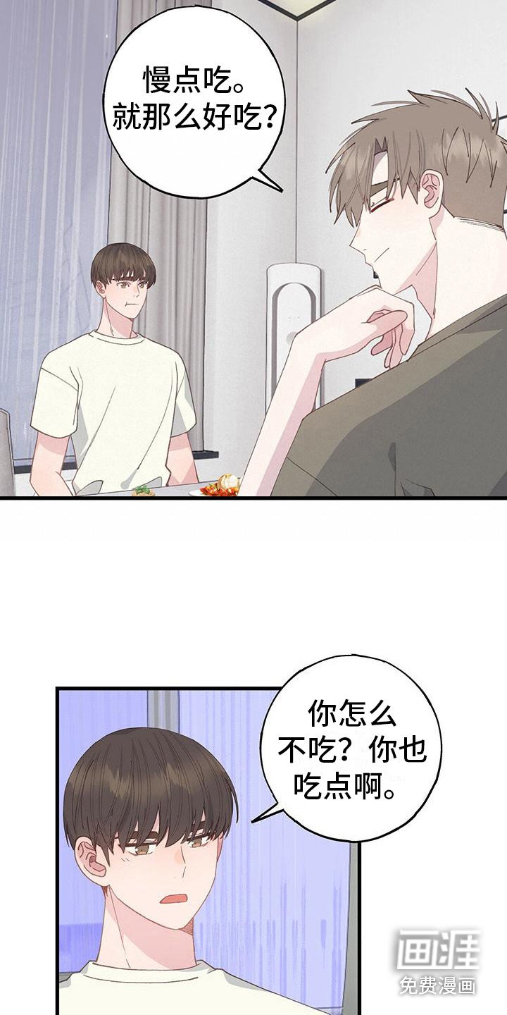 第19章：很多尝试