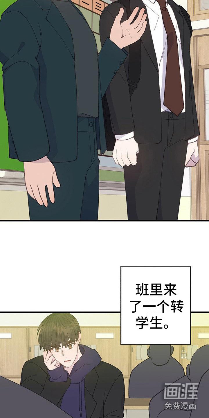 第29章：转学生