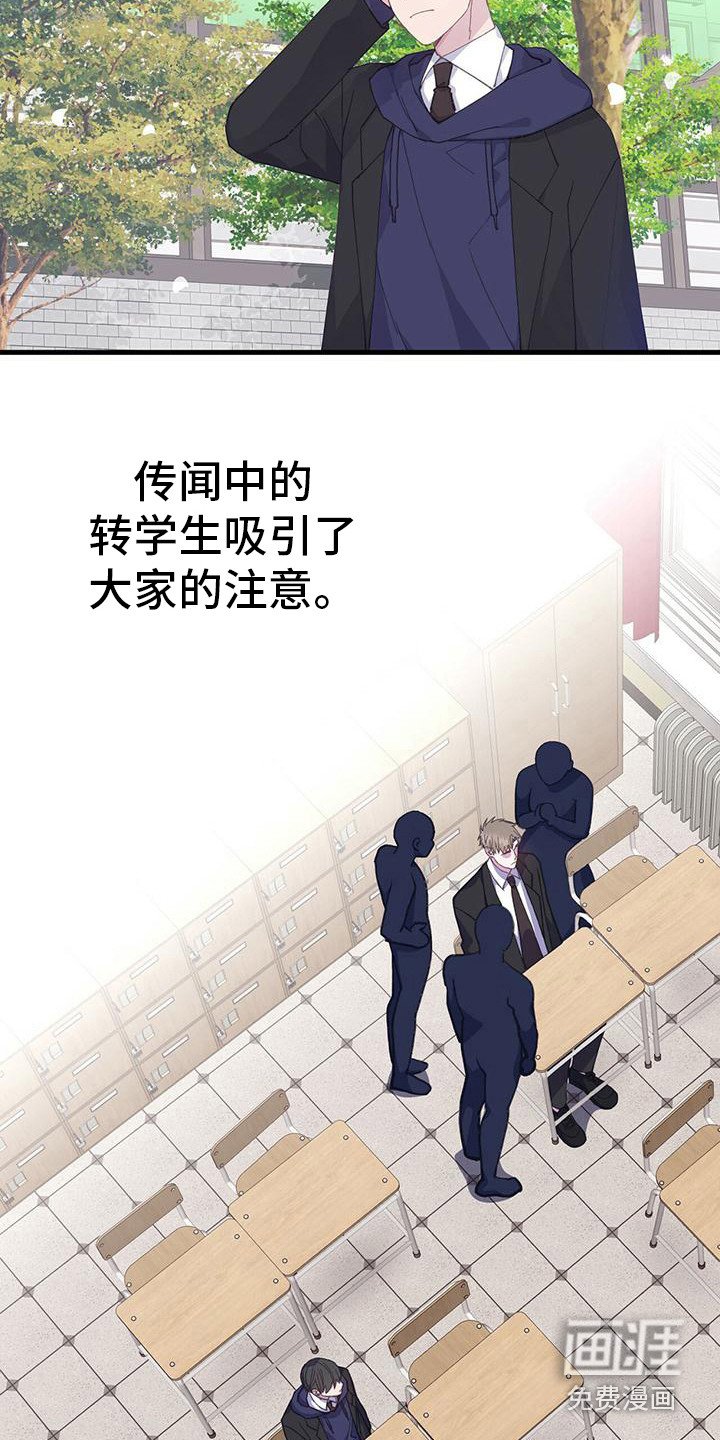 第31章：引人注目