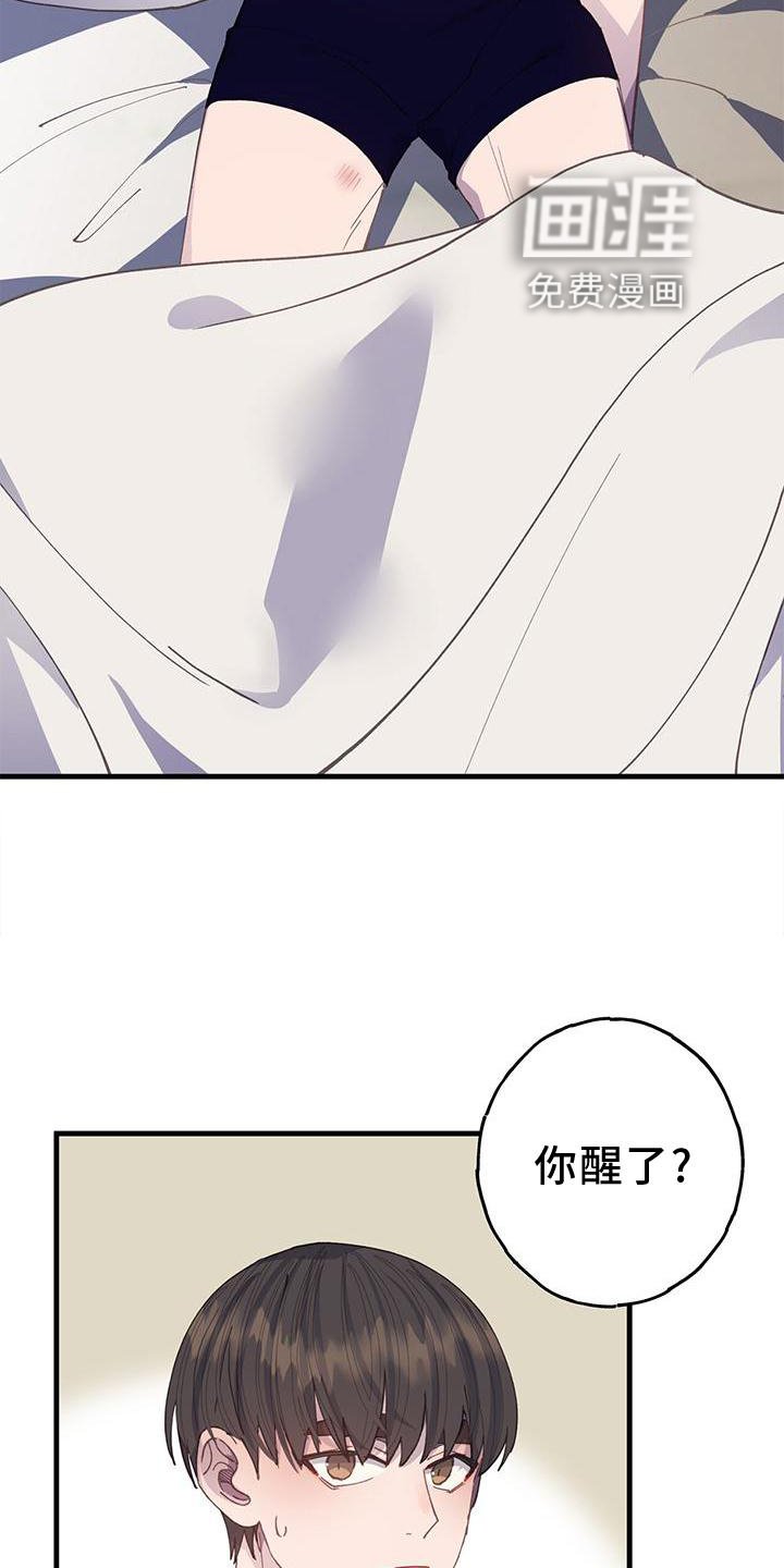 第63章："保护"