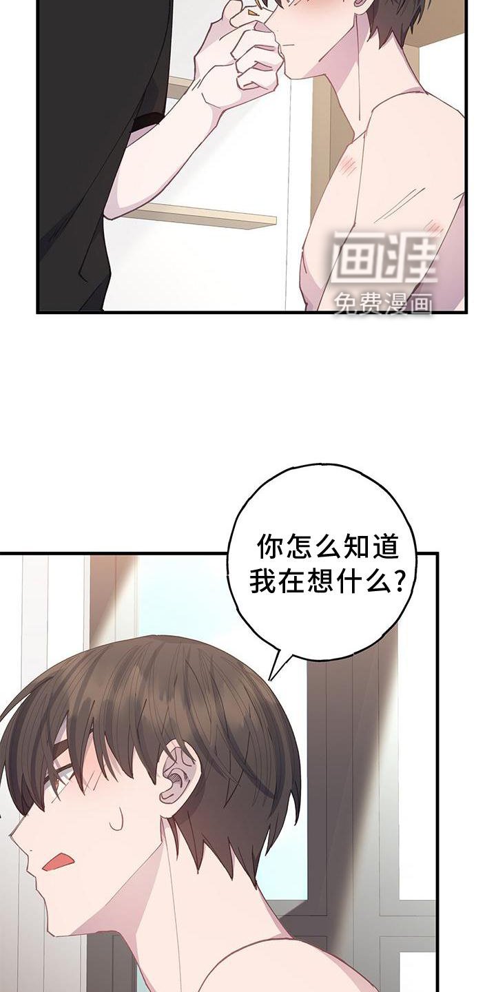 第63章："保护"