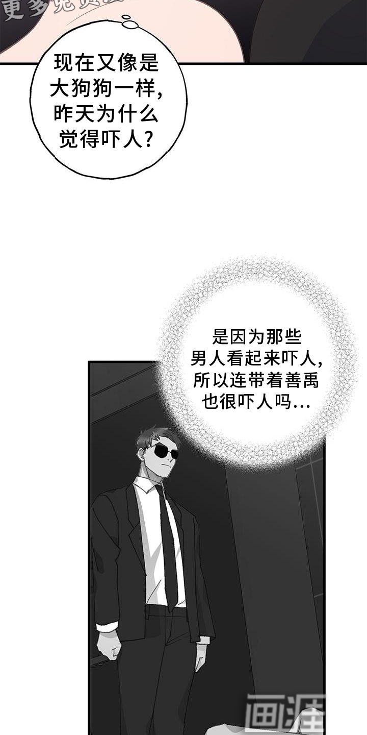 第63章："保护"