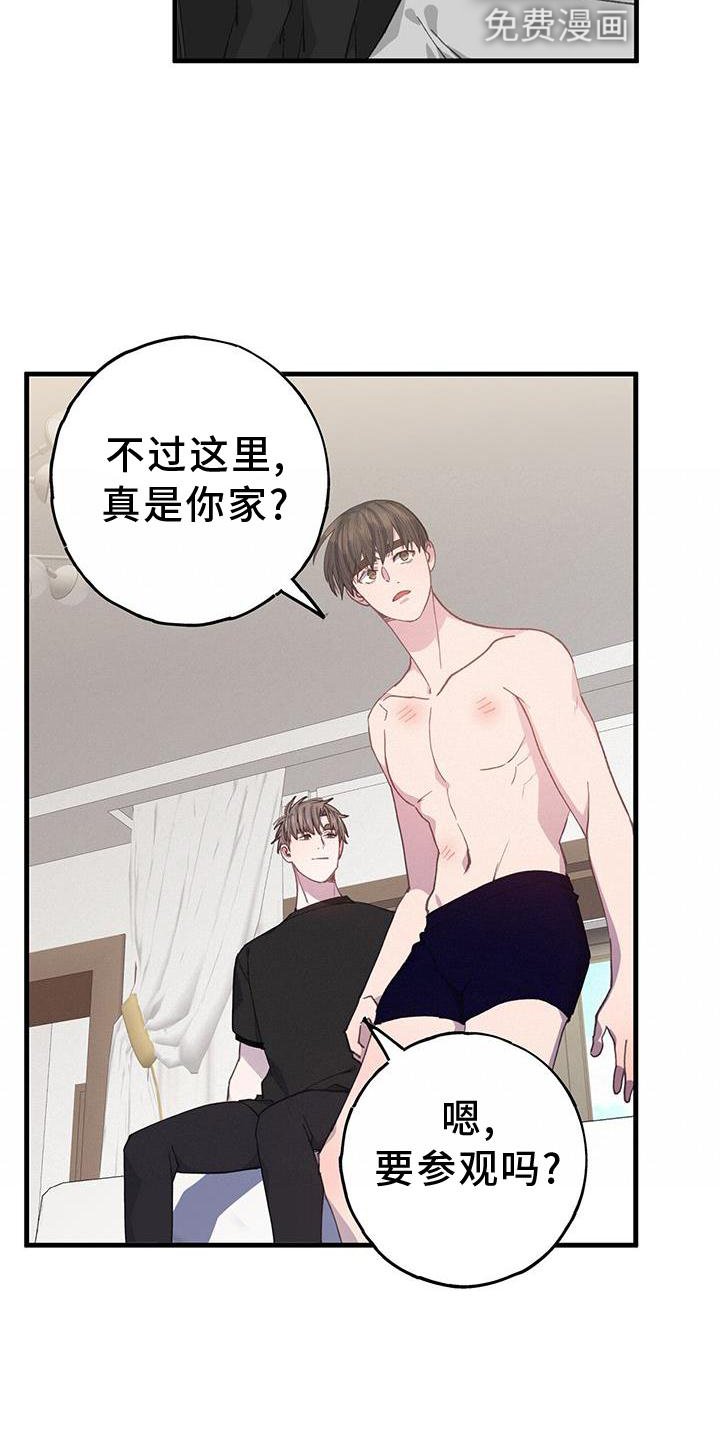 第63章："保护"