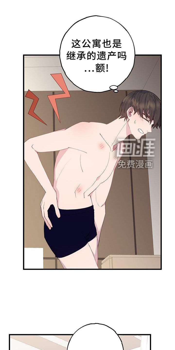 第63章："保护"
