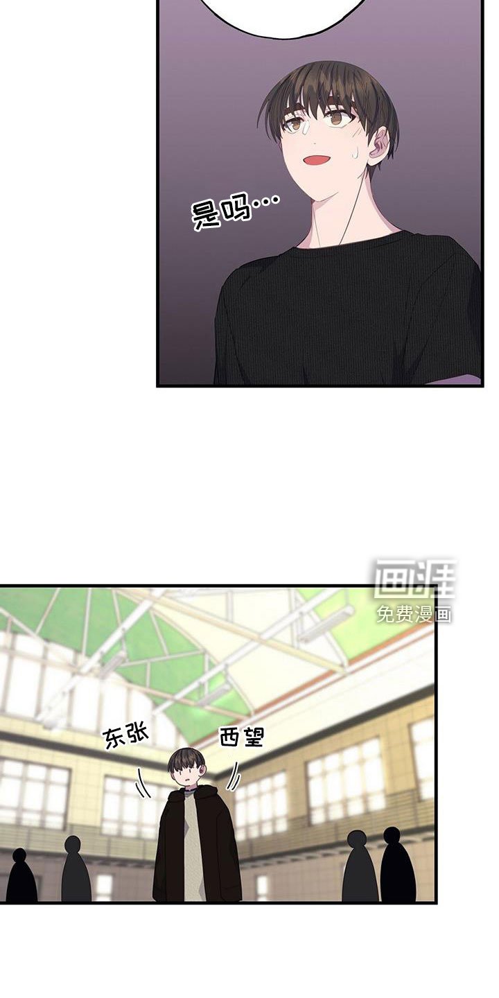 第81章：好感上升