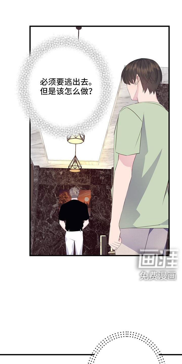 第83章：肯定有偷跑的机会