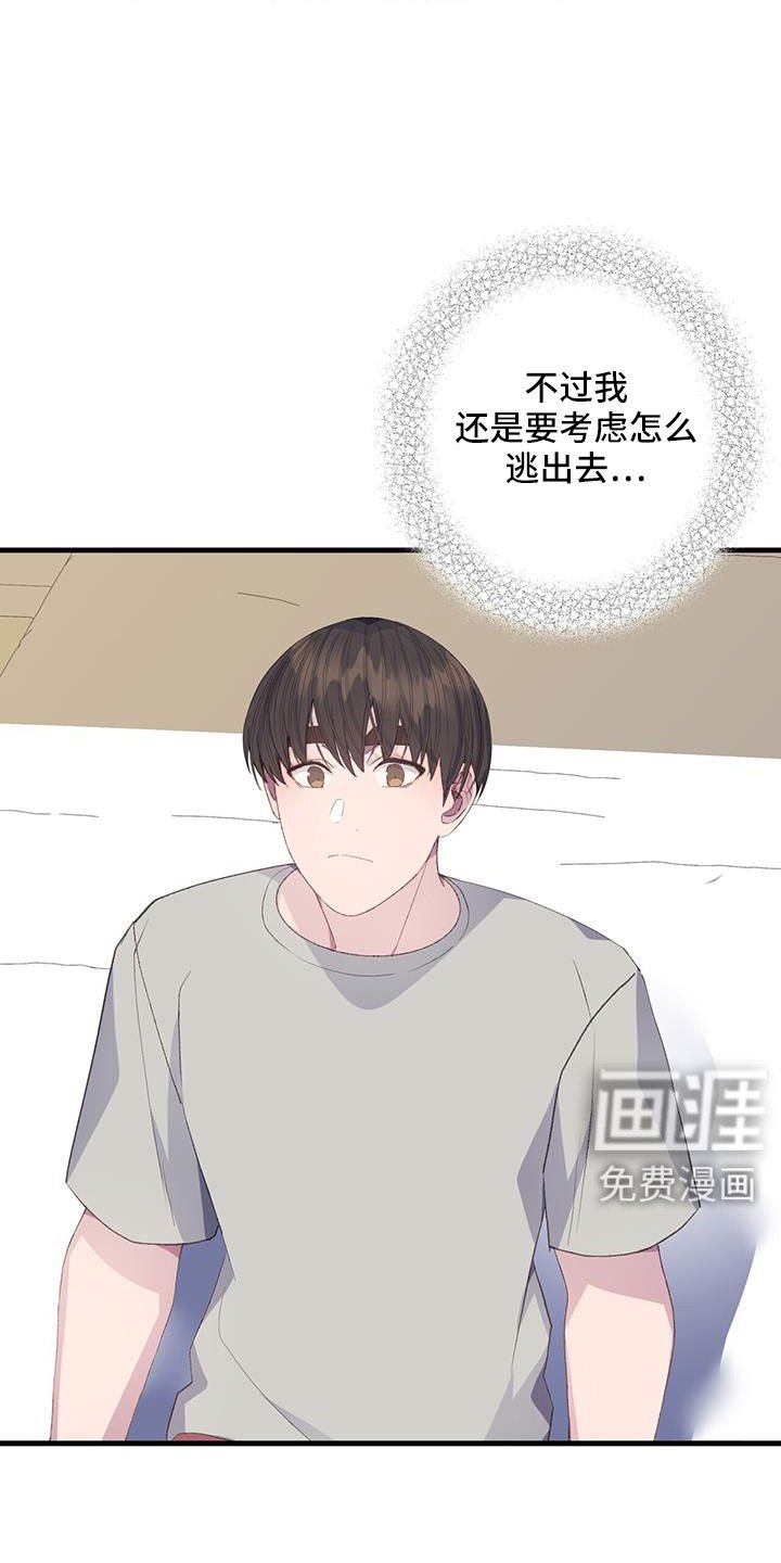 第84章：出逃计划