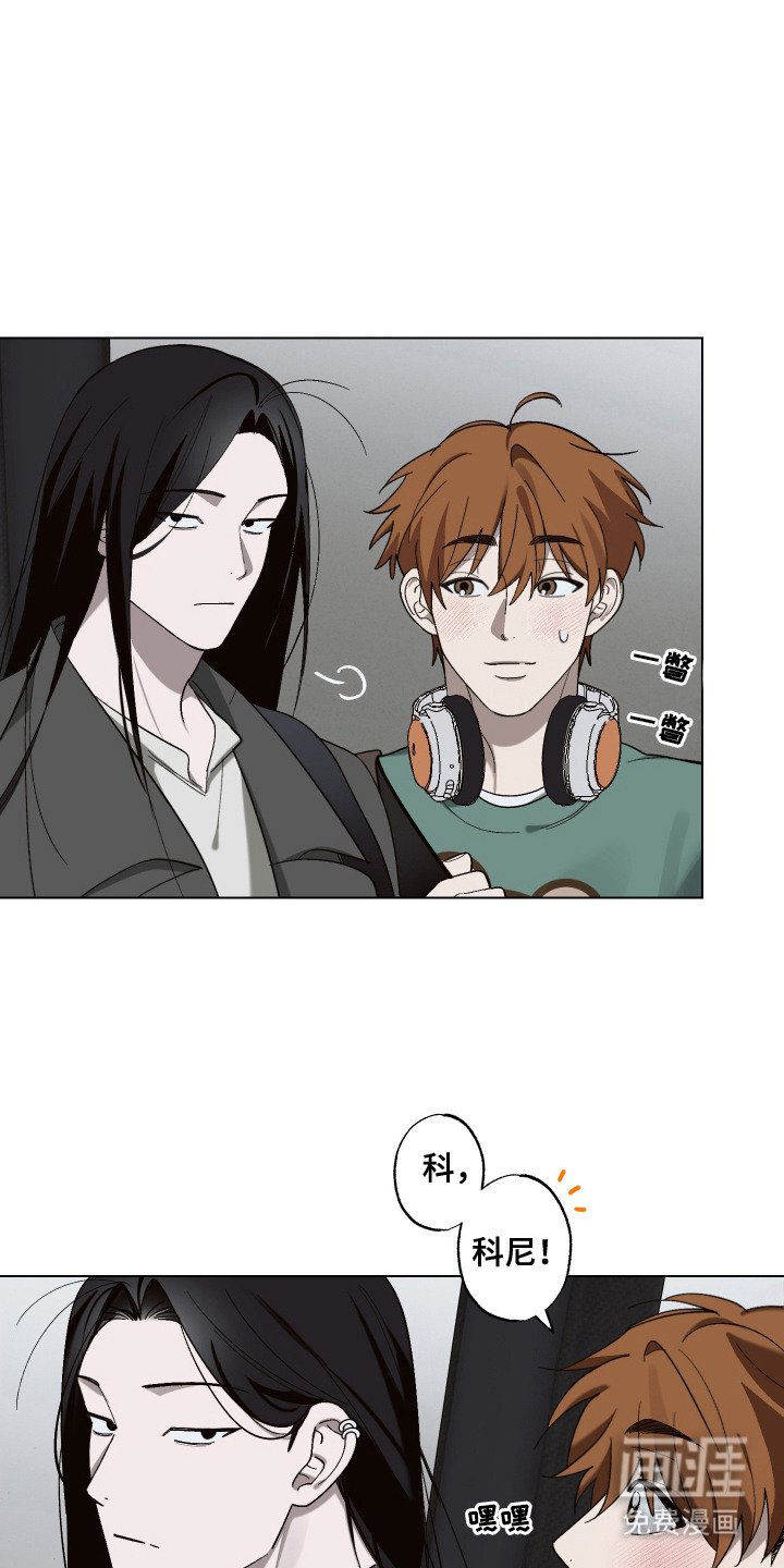 第13章：专辑