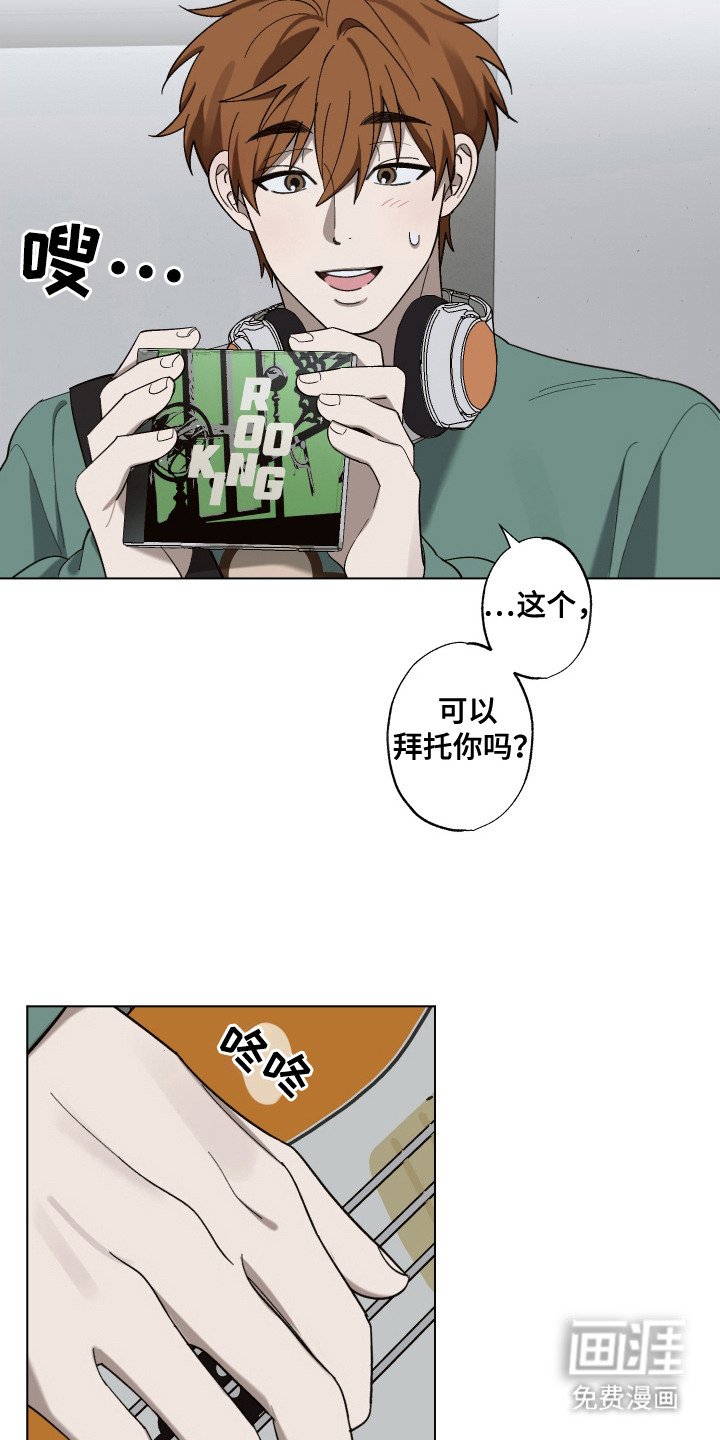 第13章：专辑