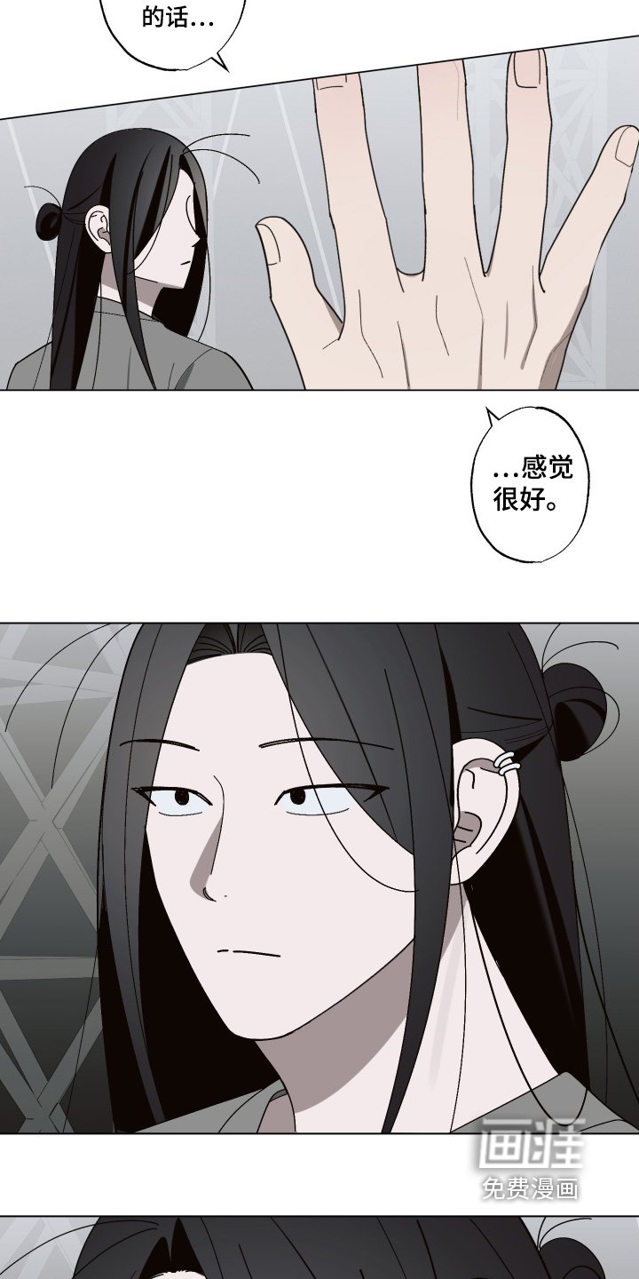 第41章：压轴