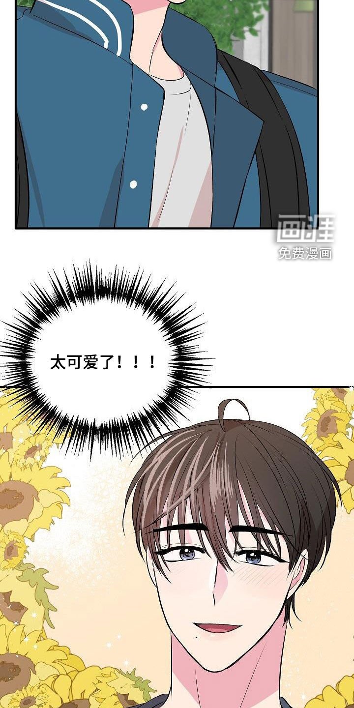 第24章：电灯泡
