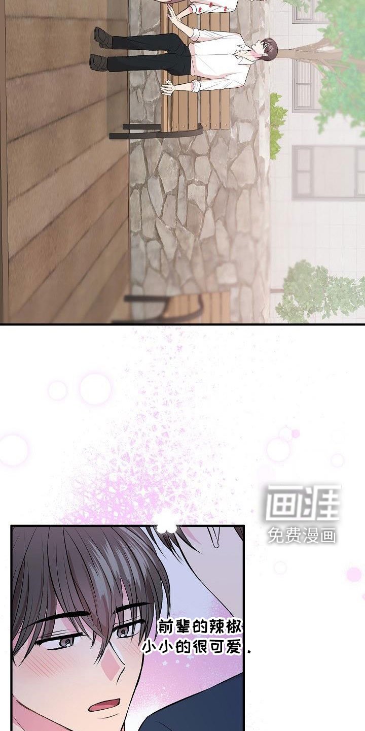 第29章：决心