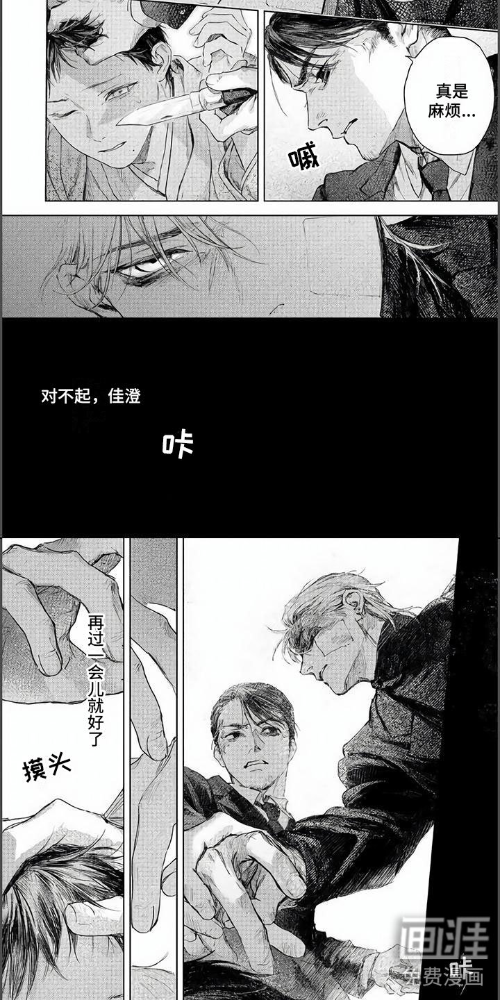 第13章：不要看