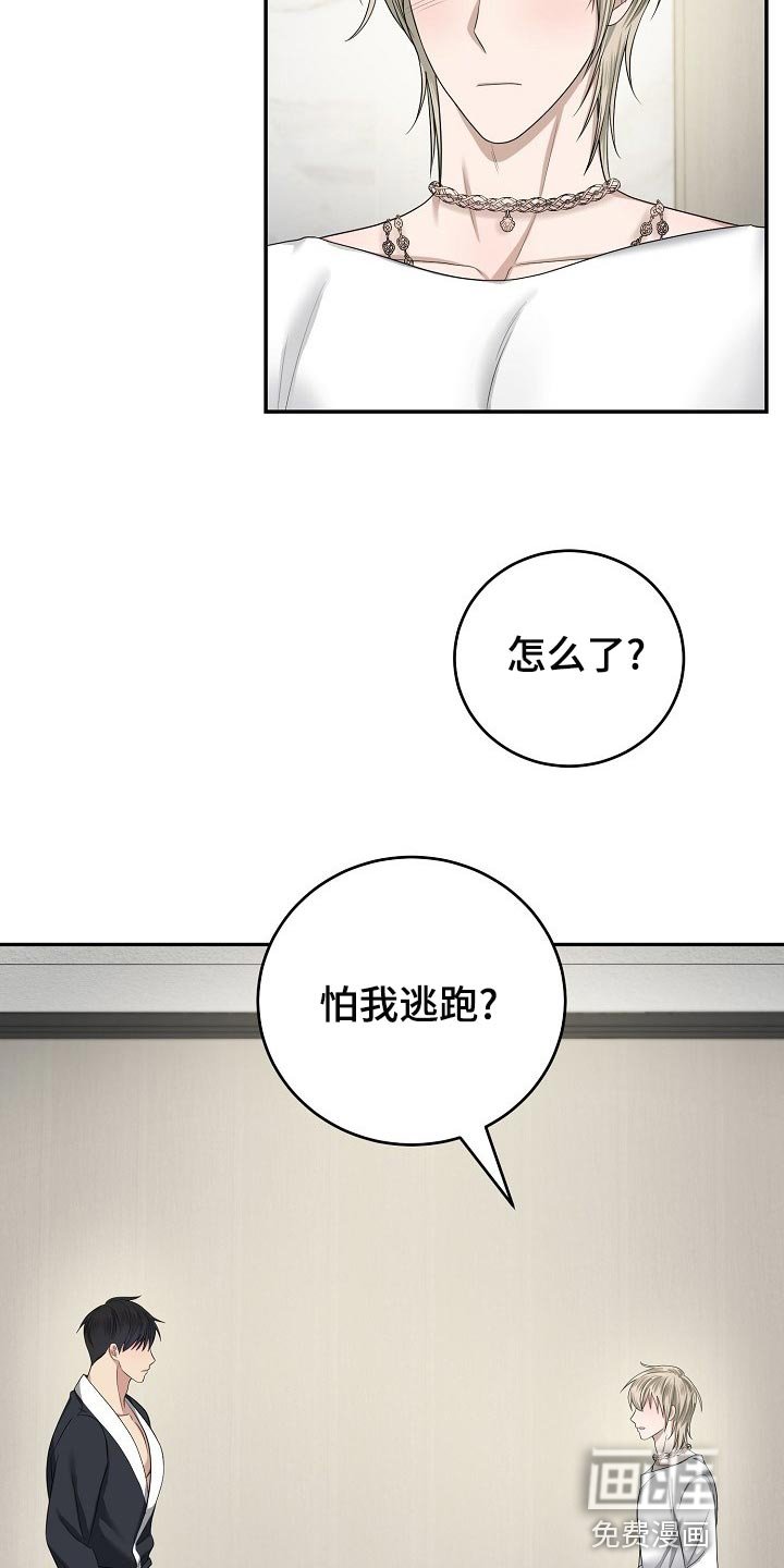 第14章：表演开始了