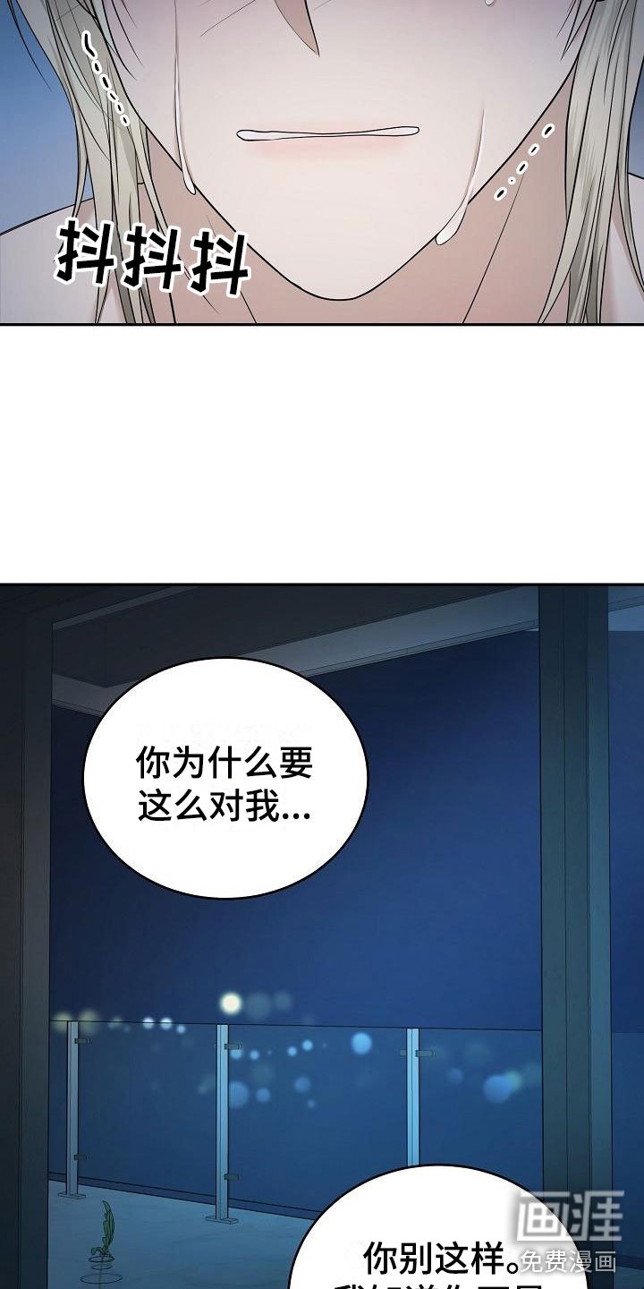第4章：求情