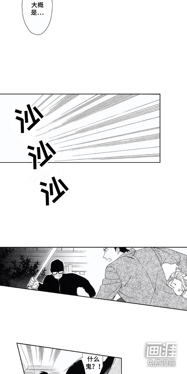 第14章：袭击者