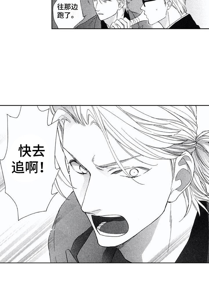 第14章：袭击者
