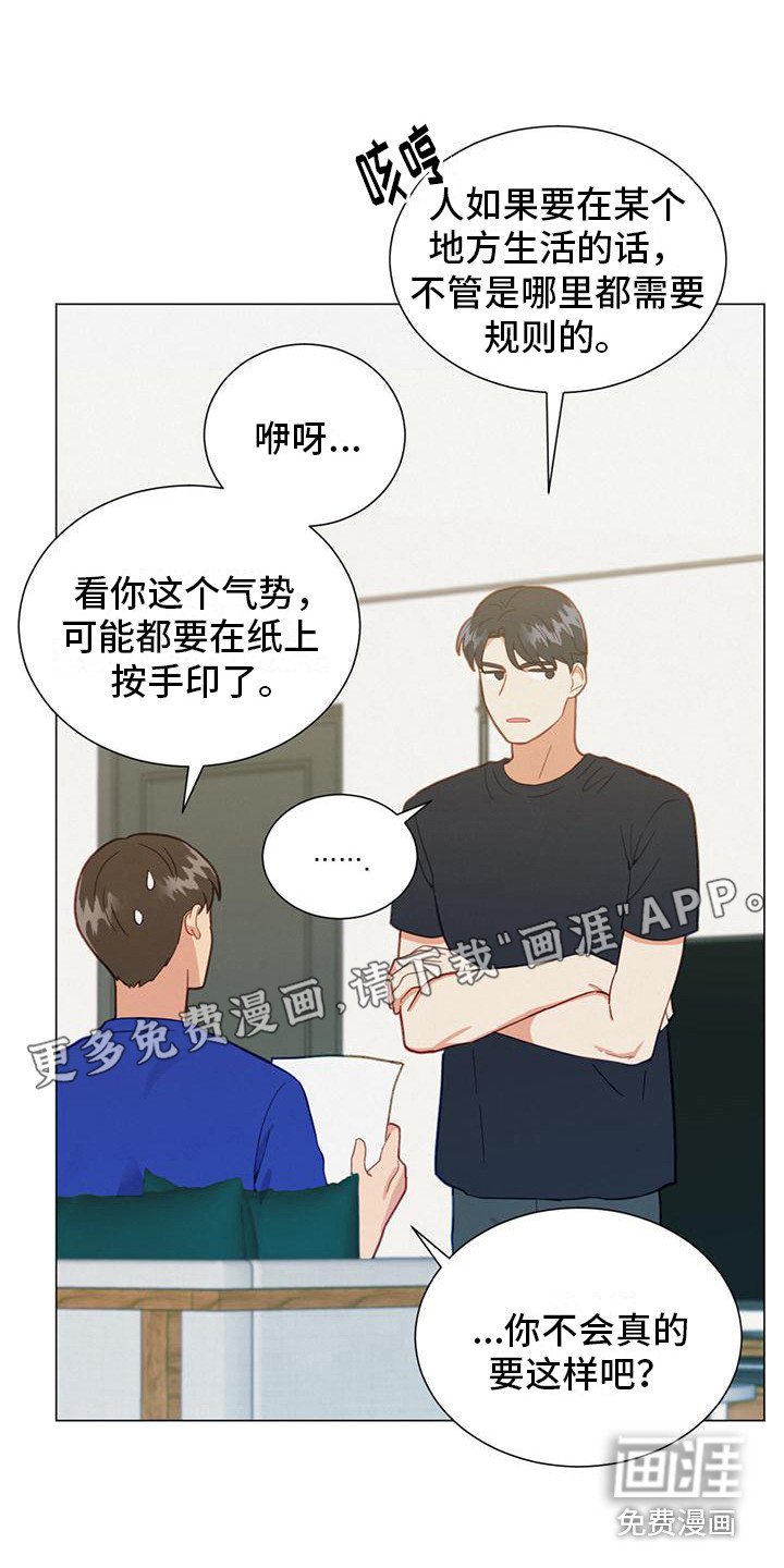 第16章：规则
