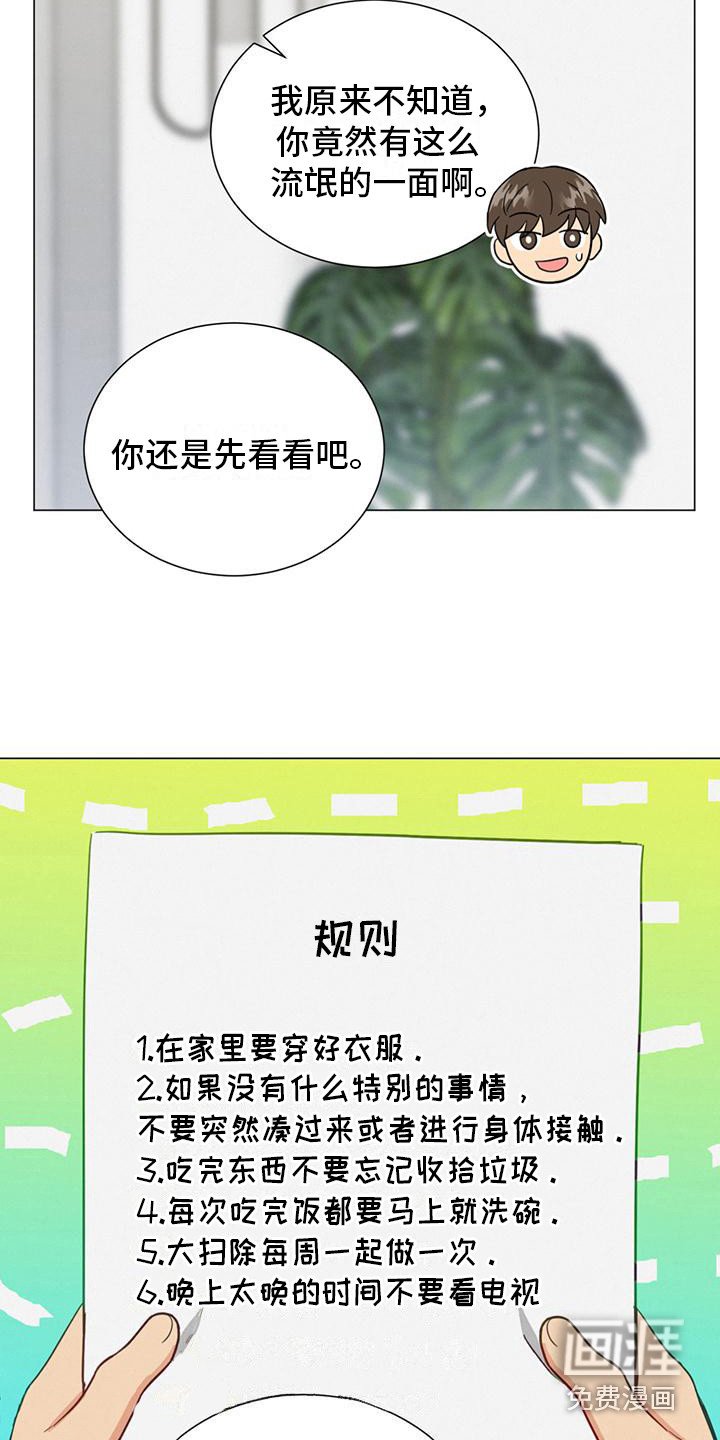 第16章：规则
